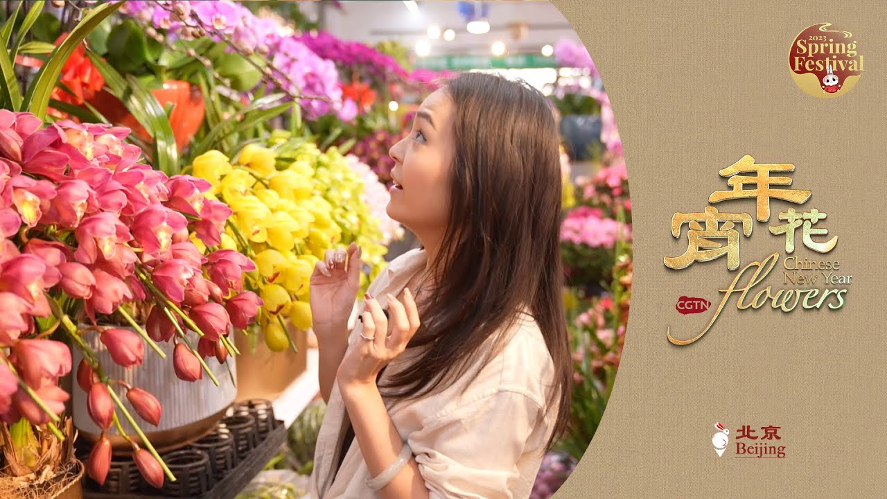 Chinese New Year Flower: 10 Powerful Amazing Ideas