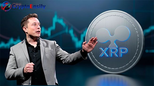 elon musk xrp